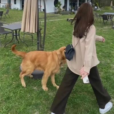 麦克尔